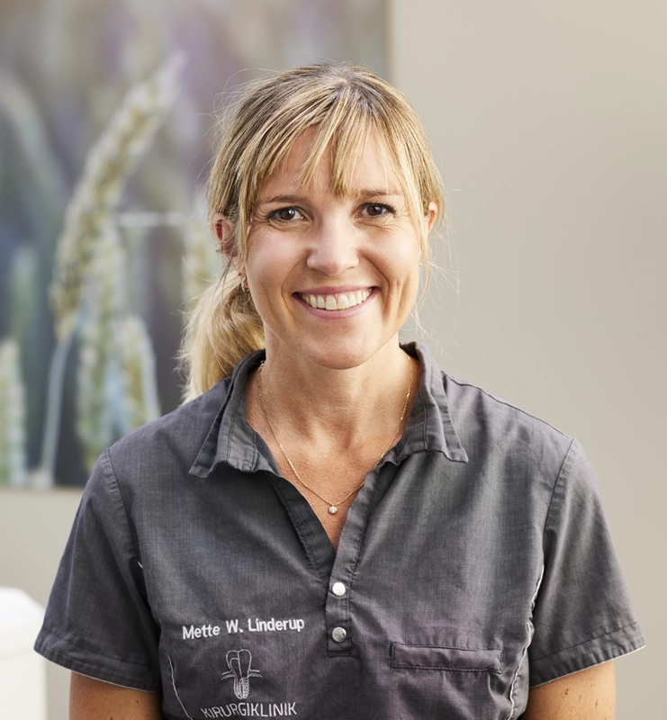 mette-werner-linderup.webp